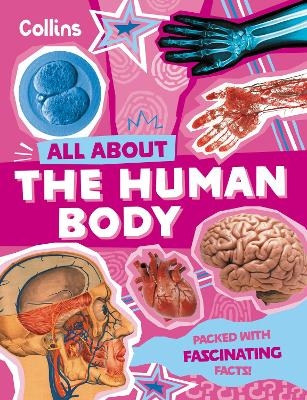 The Human Body