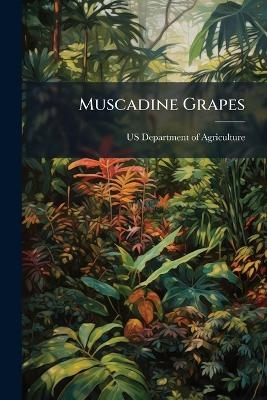 Muscadine Grapes