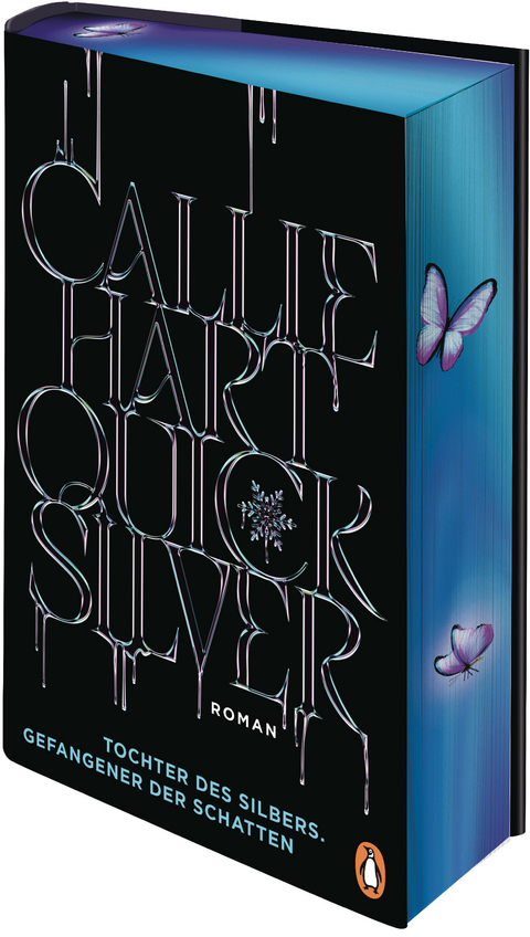 Quicksilver - Tochter des Silbers. Gefangener der Schatten - Callie Hart