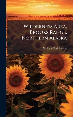 Wilderness Area, Brooks Range, Northern Alaska - 