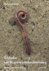 Bildatlas der Regenwurmbestimmung - Krück, Stefanie