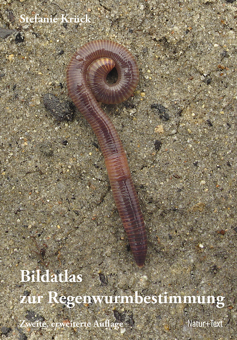 Bildatlas der Regenwurmbestimmung - Stefanie Krück