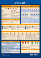 Wandtafel Sicher im Labor - 