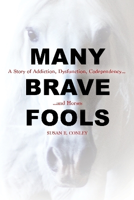 Many Brave Fools - Susan Conley