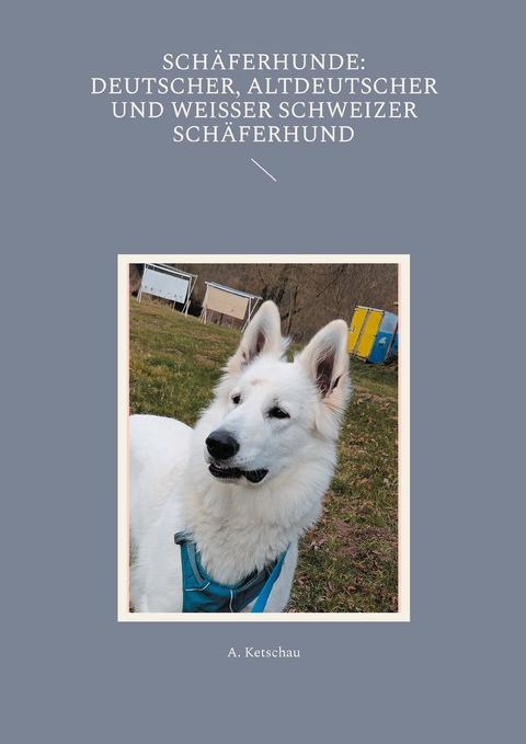 Schäferhunde: Deutscher, Altdeutscher und Weißer Schweizer Schäferhund - A. Ketschau