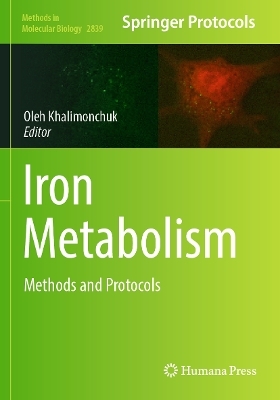 Iron Metabolism - 