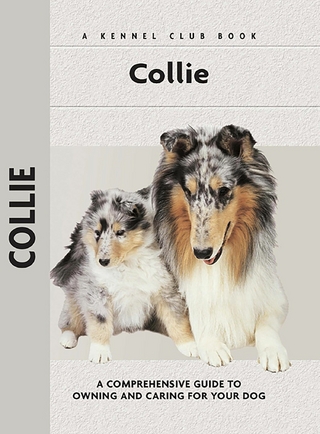 Collie