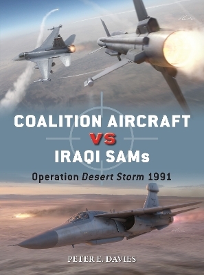 Coalition Aircraft vs Iraqi SAMs - Peter E. Davies