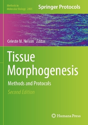 Tissue Morphogenesis - 
