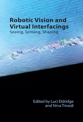 Robotic Vision and Virtual Interfacings - 
