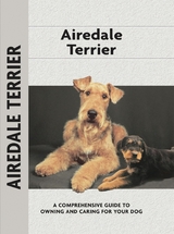 Airedale Terrier - Bardi McLennan