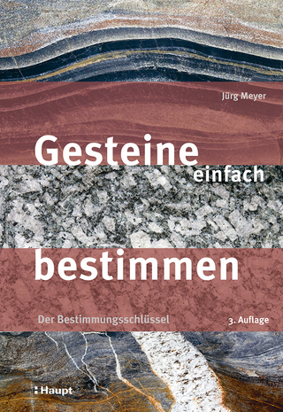 Gesteine einfach bestimmen