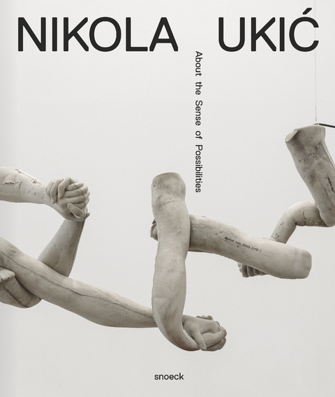 Nikola Ukić: About the Sense of Possibilties - Rolf Hengesbach, Sabina Salamon, Thorsten Schneider, Vladimir Vidar