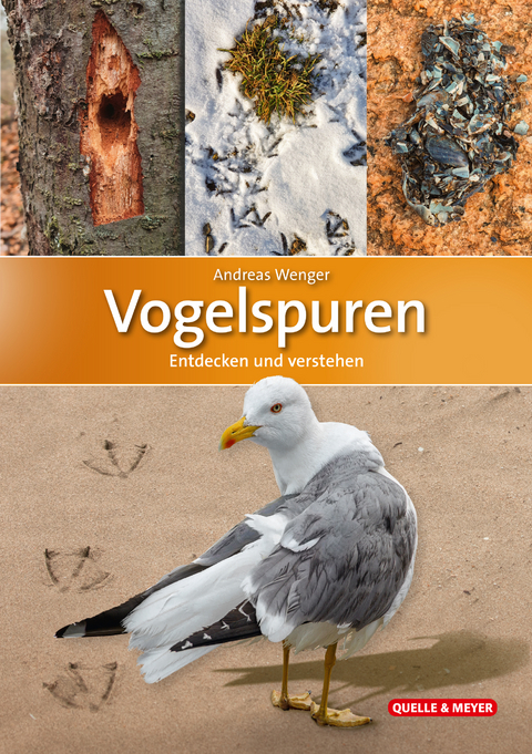 Vogelspuren - Andreas Wenger