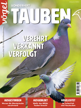 Tauben - 