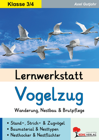 Lernwerkstatt Vogelzug