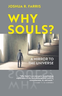 Why Souls?