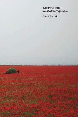 MEDDLING: An OAP in Tajikistan - Stuart Burchell