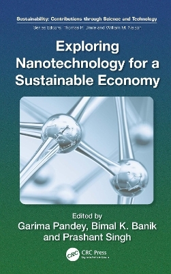 Exploring Nanotechnology for a Sustainable Economy - 