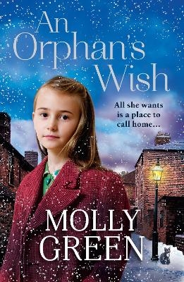 An Orphan&rsquo;s Wish - Molly Green