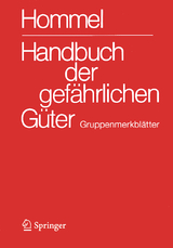 Handbuch der gefährlichen Güter. Gruppenmerkblätter - Holzhäuser, Jörg; Holzhäuser, Petra
