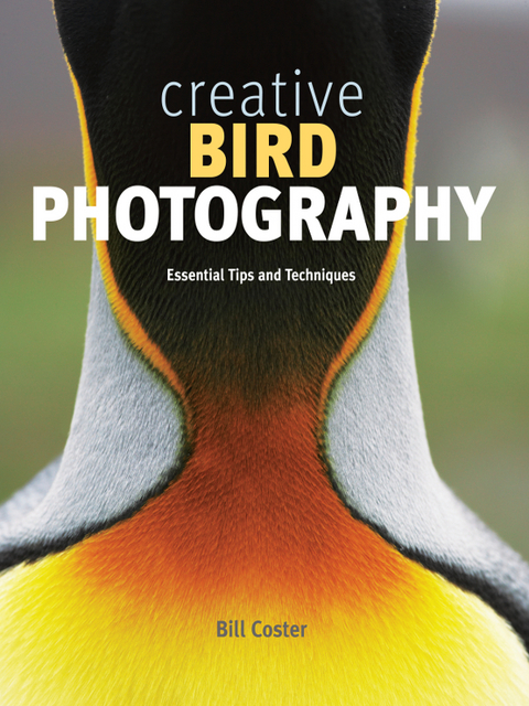 Creative Bird Photography - Bill Coster