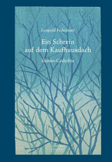 Ein Schrein auf dem Kaufhausdach - Leopold Federmair