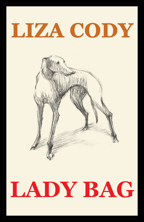 Lady Bag - Liza Cody