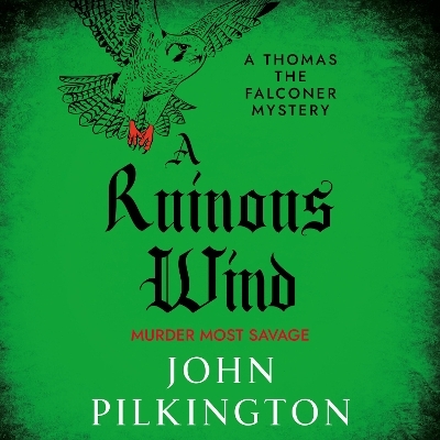 A Ruinous Wind - John Pilkington