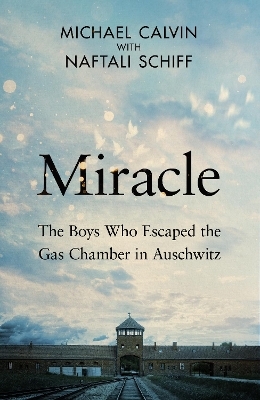 Miracle - Michael Calvin, Naftali Schiff