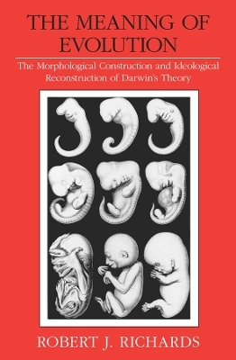 The Meaning of Evolution - Robert J. Richards