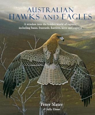 Australian Hawks and Eagles - Peter Slater, Sally Elmer