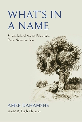 What's in a Name - Amer Dahamshe