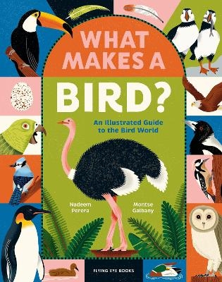 What Makes a Bird? - Nadeem Perera