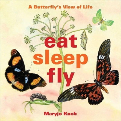 Eat, Sleep, Fly - Maryjo Koch, Tamara Haus