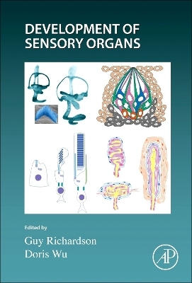 Development of Sensory Organs - 