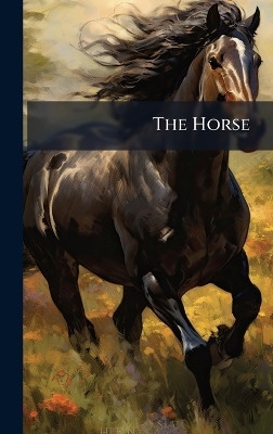 The Horse -  Anonymous