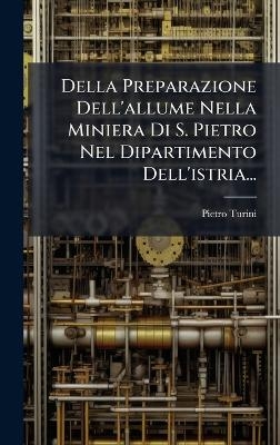 Della Preparazione Dell'allume Nella Miniera Di S. Pietro Nel Dipartimento Dell'istria...