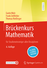 Brückenkurs Mathematik - Walz, Guido; Zeilfelder, Frank; Rießinger, Thomas