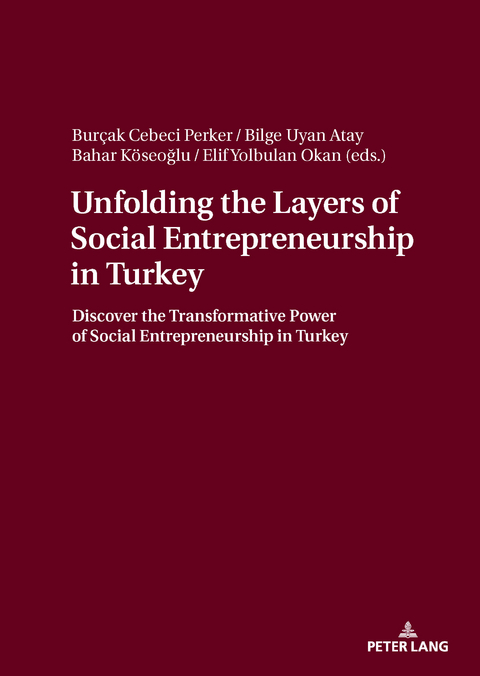 Unfolding the Layers of Social Entrepreneurship in Turkey - 