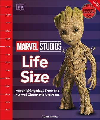 Marvel MCU Life Size -  Dk