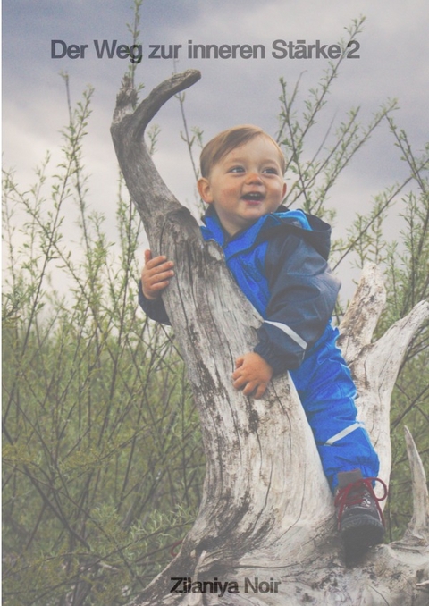 Der Weg zur inneren St&auml;rke 2 - Zilaniya Noir
