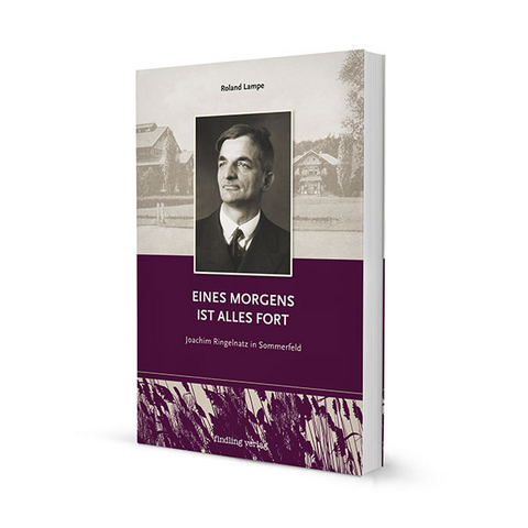 Eines Morgens ist alles fort - Roland Lampe