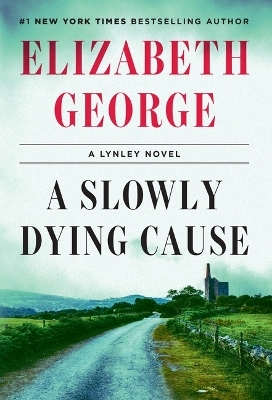 A Slowly Dying Cause - Elizabeth George
