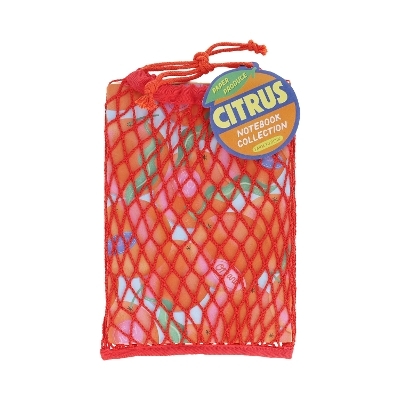 Paper Produce Citrus Notebook Collection -  Chronicle Books