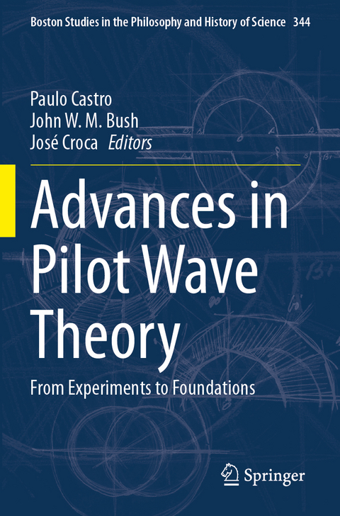 Advances in Pilot Wave Theory - 
