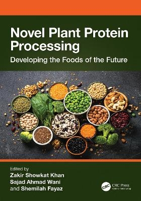 Novel Plant Protein Processing