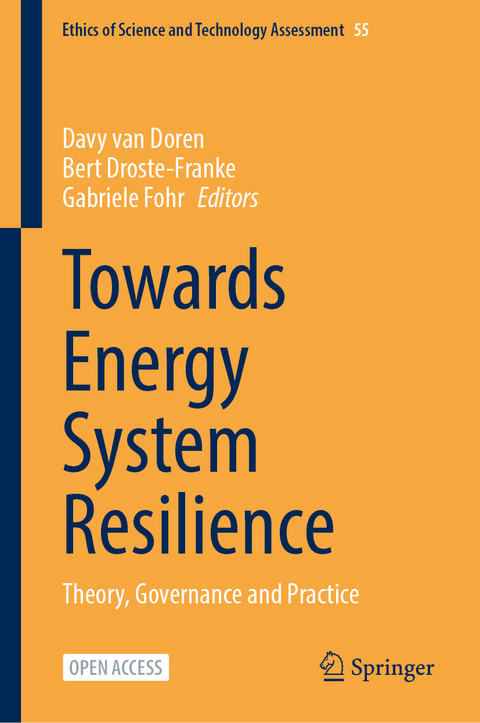 Towards Energy System Resilience - 