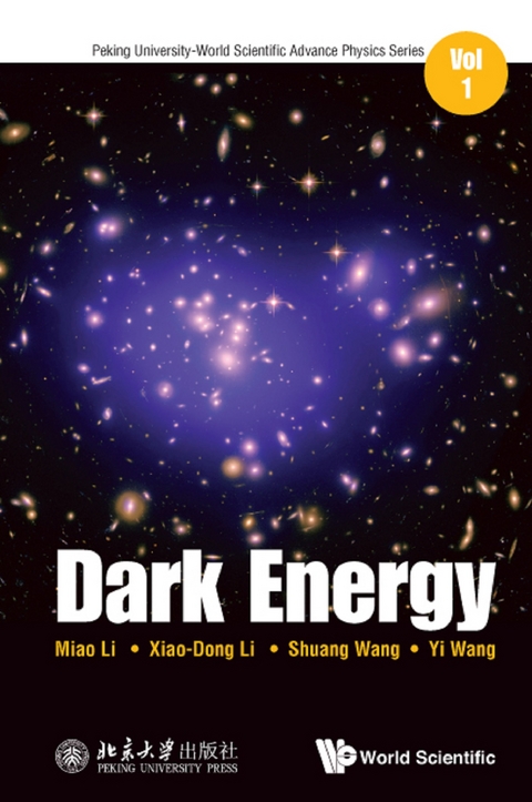 DARK ENERGY - Miao Li, Xiaodong Li, Shuang Wang, Yi Wang