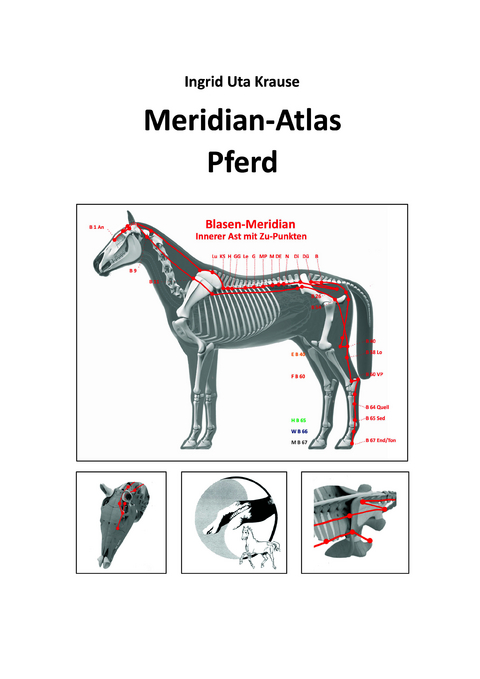 Meridian-Atlas Pferd - Ingrid Uta Krause